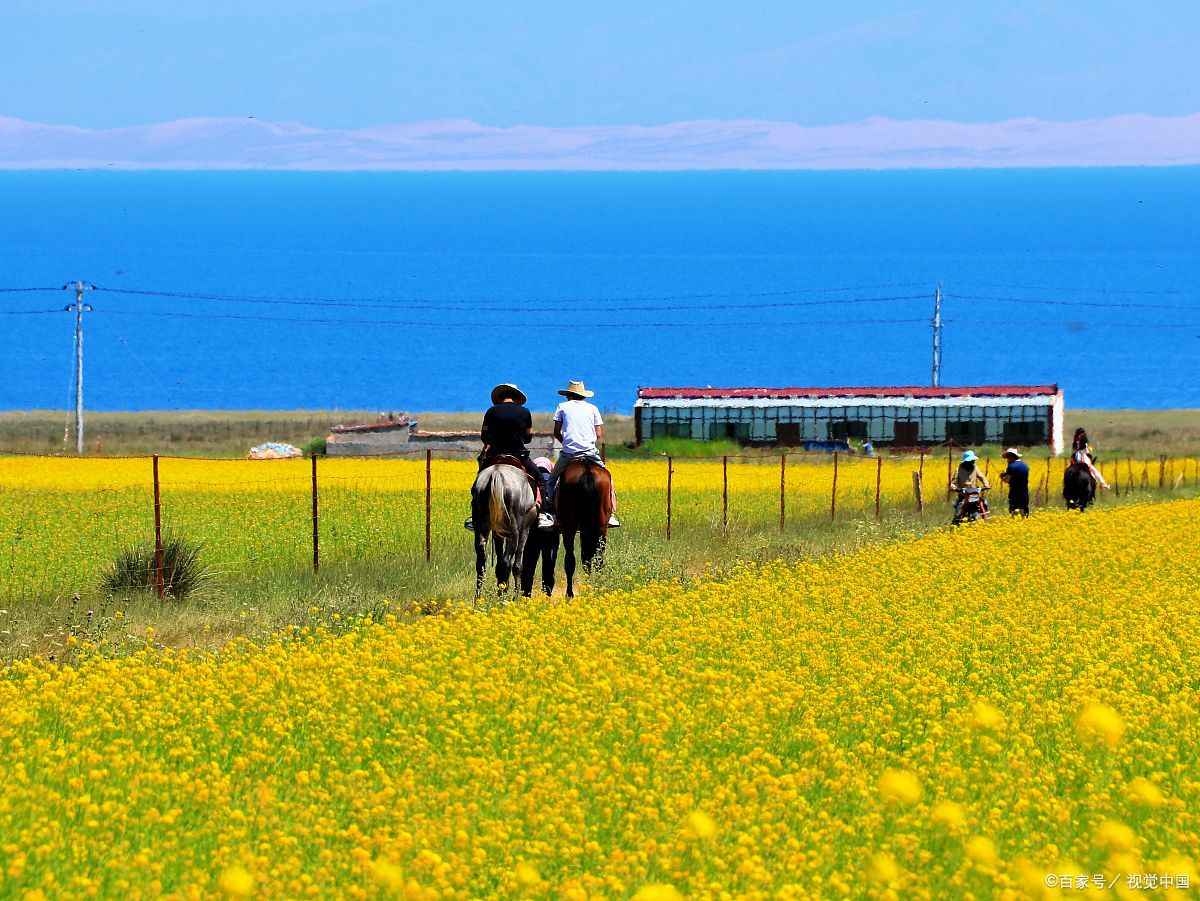 青海团游价格
